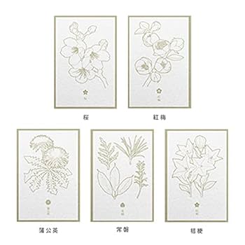 花の鉛筆画A4サイズ Amazon | 花色鉛筆ポストカード 花色鉛筆 ポストカード TRINUS 5